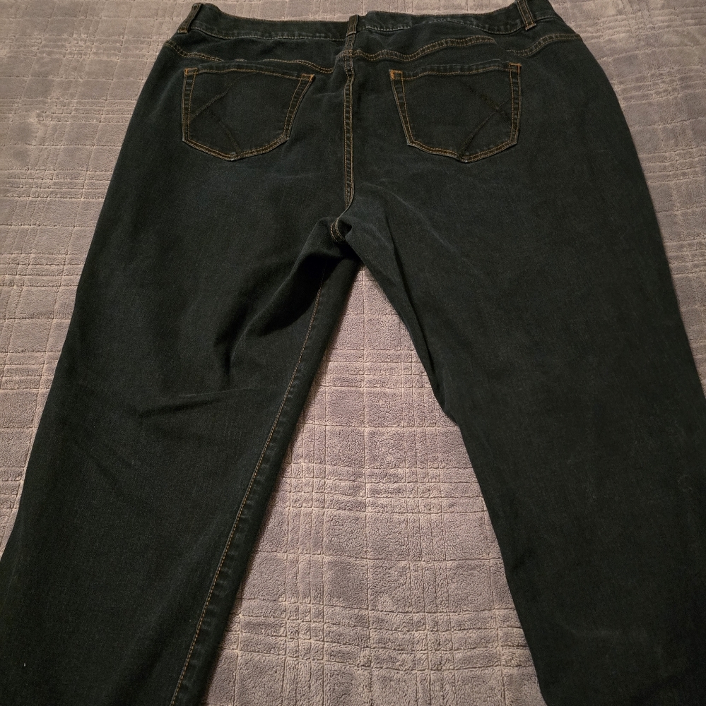 Lane Bryant 24 straight leg